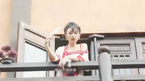 迷妹推荐--现代金瓶梅-倪哇哇