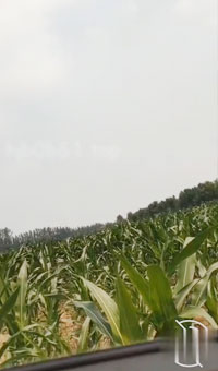 单男猛掰老婆丝袜腿狂舔骚逼_老婆按头高潮_车内口活_尝试肛交未果_酒店开房狂干_老婆肛交高潮两次_单男口爆两次_屁眼松弛_