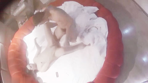 迷妹推荐--女人去开房 千万不能被嫂子看到呀