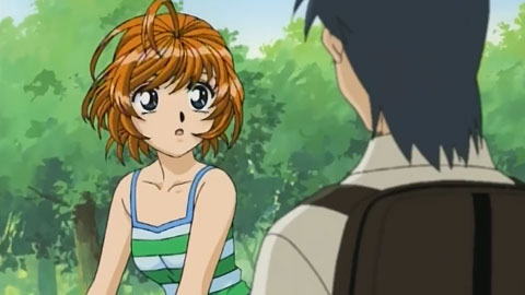 飞鸟-第1章“夏日星座”