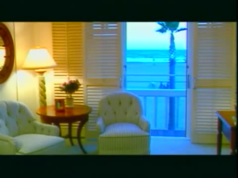 田丽-风中情挑