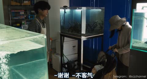 我在你床下