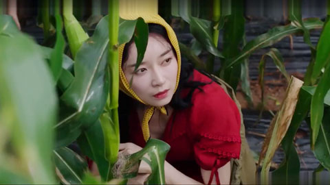 为人民服务 #韩国 #三级--下