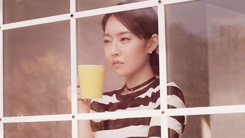 家教高级课程--上