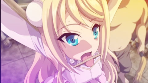 ビスプレミアムサ