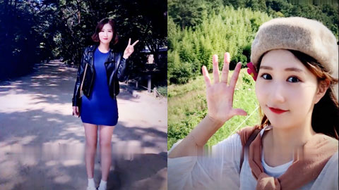 迷妹推荐--高中辅导员