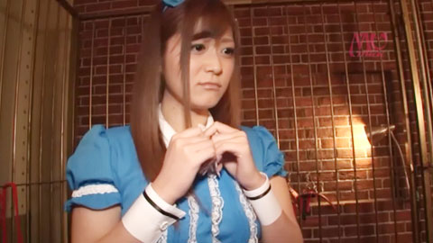 佐藤遥希-主人家的玩具